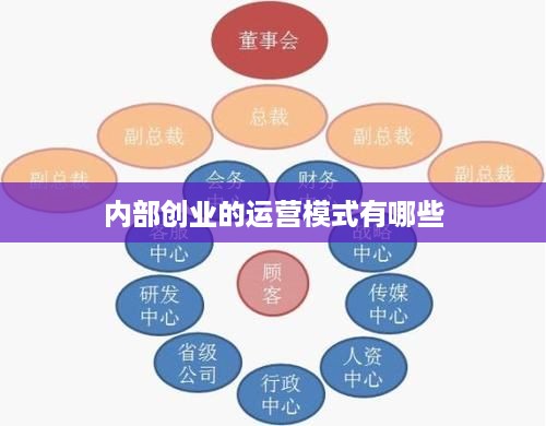 内部创业的运营模式有哪些