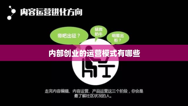 内部创业的运营模式有哪些