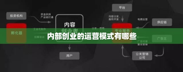 内部创业的运营模式有哪些