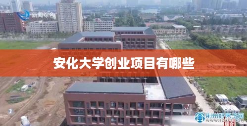 安化大学创业项目有哪些