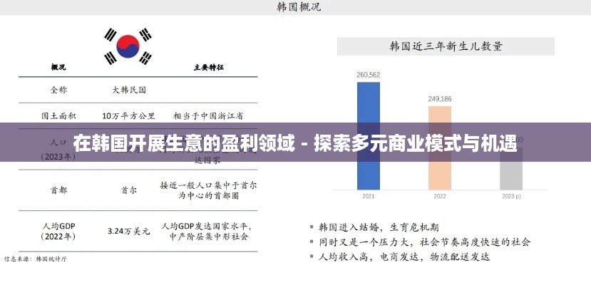 在韩国开展生意的盈利领域 - 探索多元商业模式与机遇