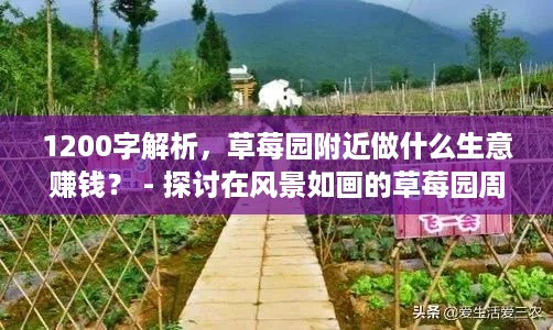 1200字解析，草莓园附近做什么生意赚钱？ - 探讨在风景如画的草莓园周边开展的独特商业机会