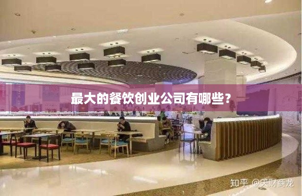 最大的餐饮创业公司有哪些？