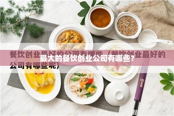 最大的餐饮创业公司有哪些？