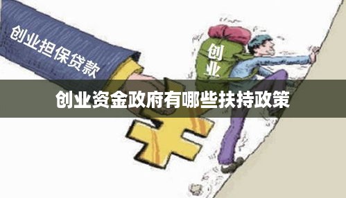 创业资金政府有哪些扶持政策