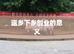 返乡下乡创业的意义