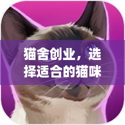 猫舍创业，选择适合的猫咪品种