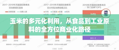 玉米的多元化利用，从食品到工业原料的全方位商业化路径