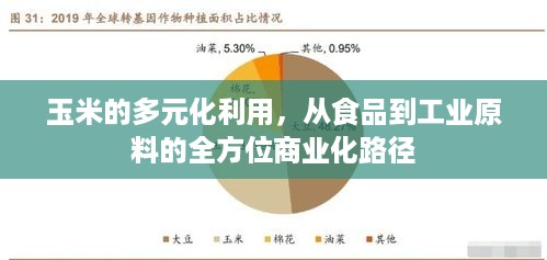 玉米的多元化利用，从食品到工业原料的全方位商业化路径