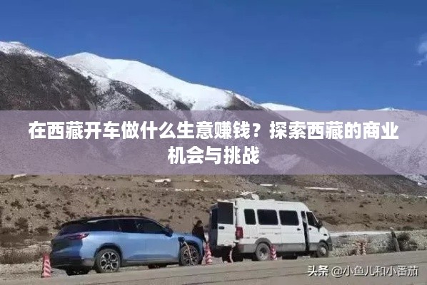 在西藏开车做什么生意赚钱？探索西藏的商业机会与挑战