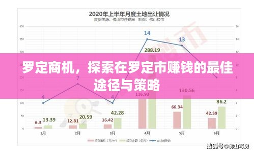 罗定商机，探索在罗定市赚钱的最佳途径与策略