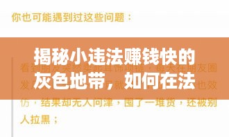 揭秘小违法赚钱快的灰色地带，如何在法律边缘寻找暴利