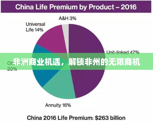 非洲商业机遇，解锁非州的无限商机