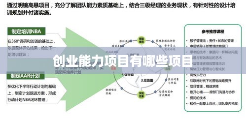 创业能力项目有哪些项目