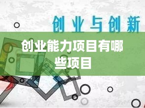 创业能力项目有哪些项目