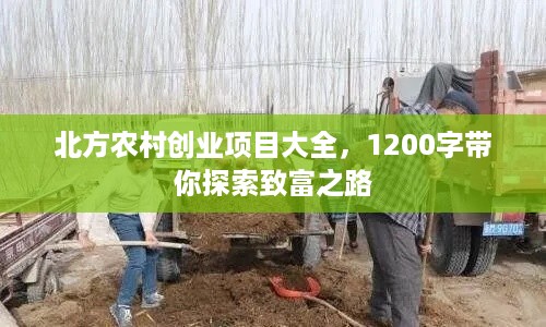 北方农村创业项目大全，1200字带你探索致富之路