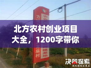 北方农村创业项目大全，1200字带你探索致富之路