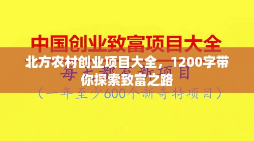 北方农村创业项目大全，1200字带你探索致富之路