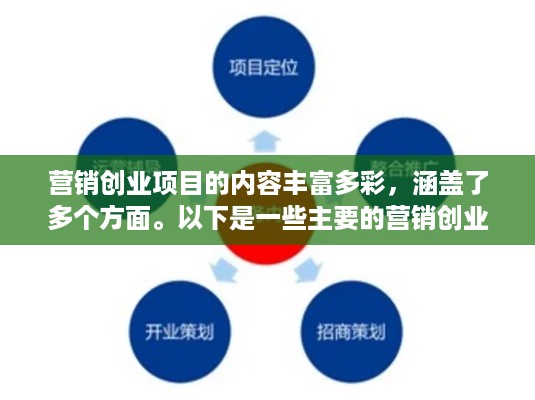 营销创业项目的内容丰富多彩，涵盖了多个方面。以下是一些主要的营销创业项目内容