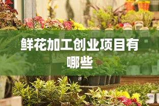 鲜花加工创业项目有哪些