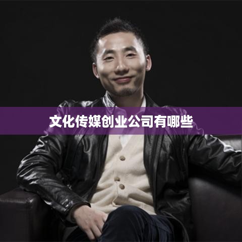 文化传媒创业公司有哪些