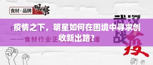 疫情之下，明星如何在困境中寻求创收新出路？