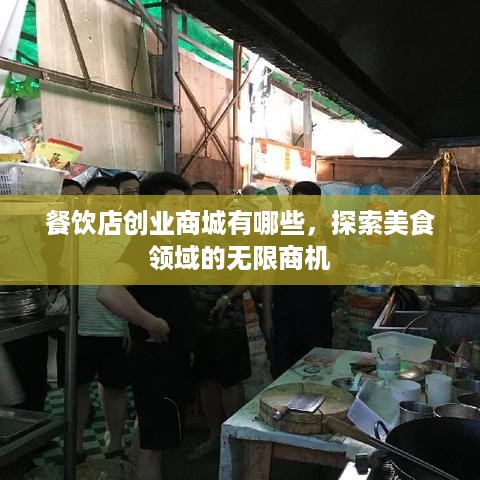 餐饮店创业商城有哪些，探索美食领域的无限商机