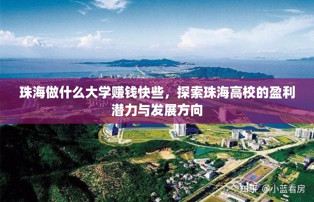 珠海做什么大学赚钱快些，探索珠海高校的盈利潜力与发展方向