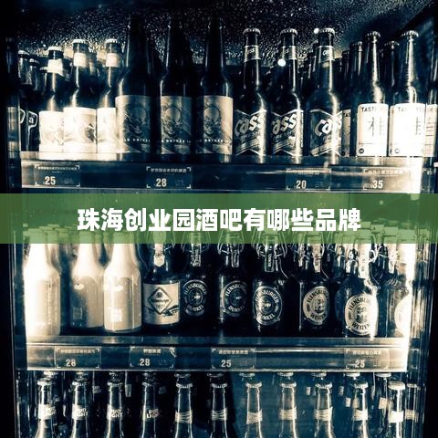 珠海创业园酒吧有哪些品牌