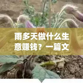 雨多天做什么生意赚钱？一篇文章带你了解如何在潮湿的天气里开展盈利项目