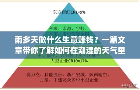 雨多天做什么生意赚钱？一篇文章带你了解如何在潮湿的天气里开展盈利项目