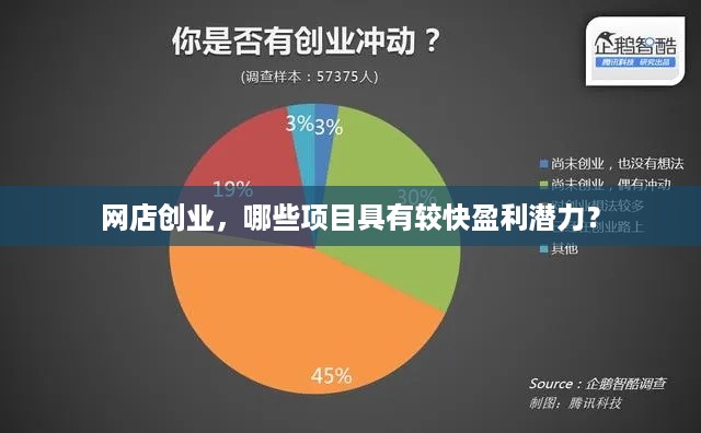 网店创业，哪些项目具有较快盈利潜力？