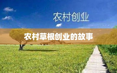 农村草根创业的故事