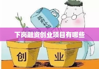 下岗融资创业项目有哪些