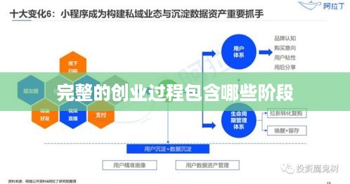 完整的创业过程包含哪些阶段