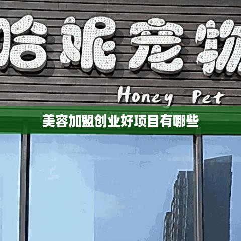 美容加盟创业好项目有哪些