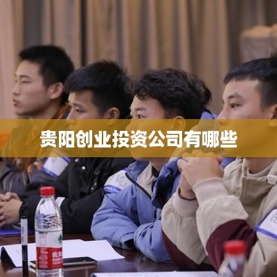 贵阳创业投资公司有哪些