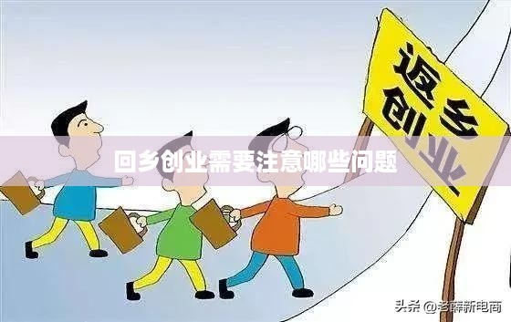 回乡创业需要注意哪些问题