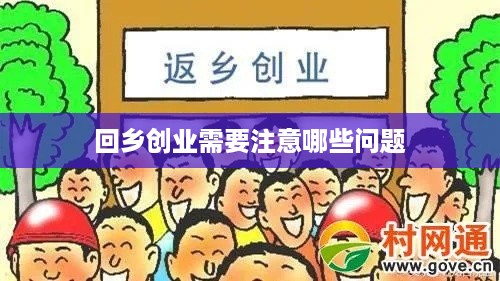 回乡创业需要注意哪些问题