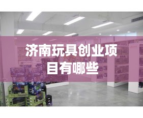 济南玩具创业项目有哪些