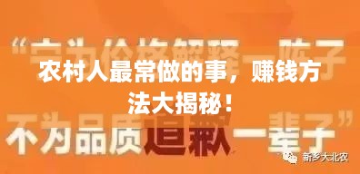 农村人最常做的事，赚钱方法大揭秘！