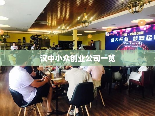 汉中小众创业公司一览