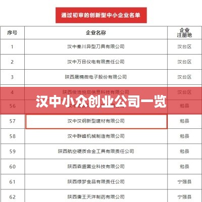 汉中小众创业公司一览