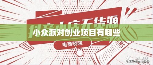 小众派对创业项目有哪些