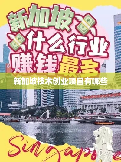 新加坡技术创业项目有哪些