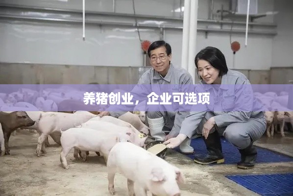 养猪创业，企业可选项