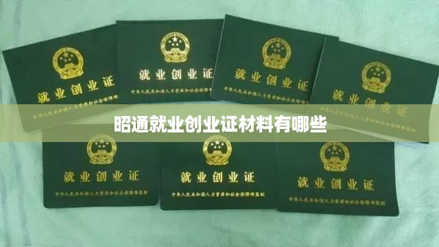 昭通就业创业证材料有哪些