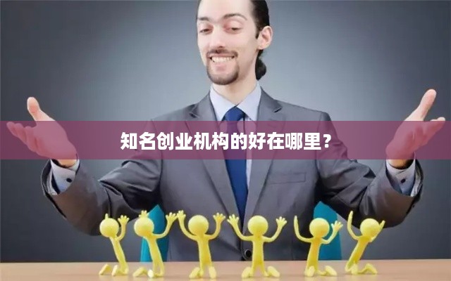 知名创业机构的好在哪里？