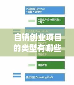 自销创业项目的类型有哪些？