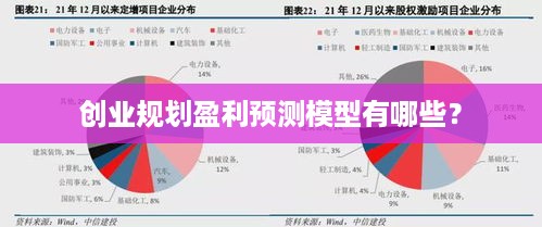 创业规划盈利预测模型有哪些？